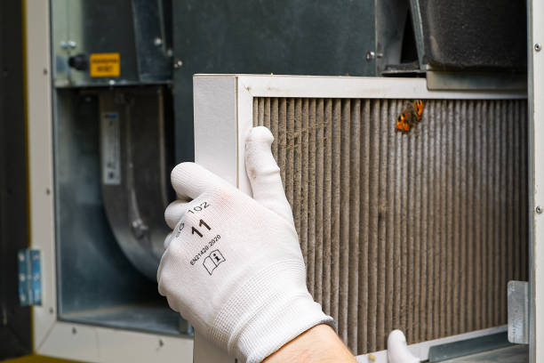 Best Professional Duct Cleaning Services  in Rocky Top, TN