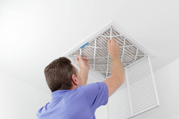 Best Emergency Air Duct Cleaning  in Rocky Top, TN